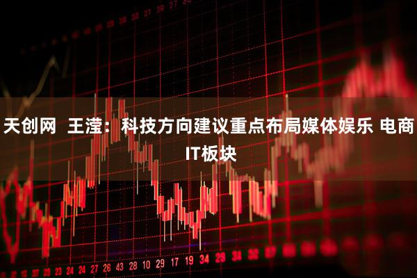 天创网  王滢：科技方向建议重点布局媒体娱乐 电商 IT板块