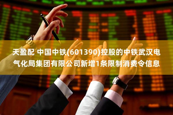 天盈配 中国中铁(601390)控股的中铁武汉电气化局集团有限公司新增1条限制消费令信息
